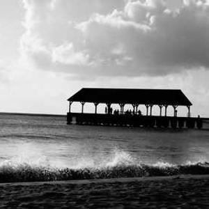 miami 1688 ทดลองเล่นสล็อตpgฟรี การแข่งขันรางวัล อีเวนต์พิเศษ